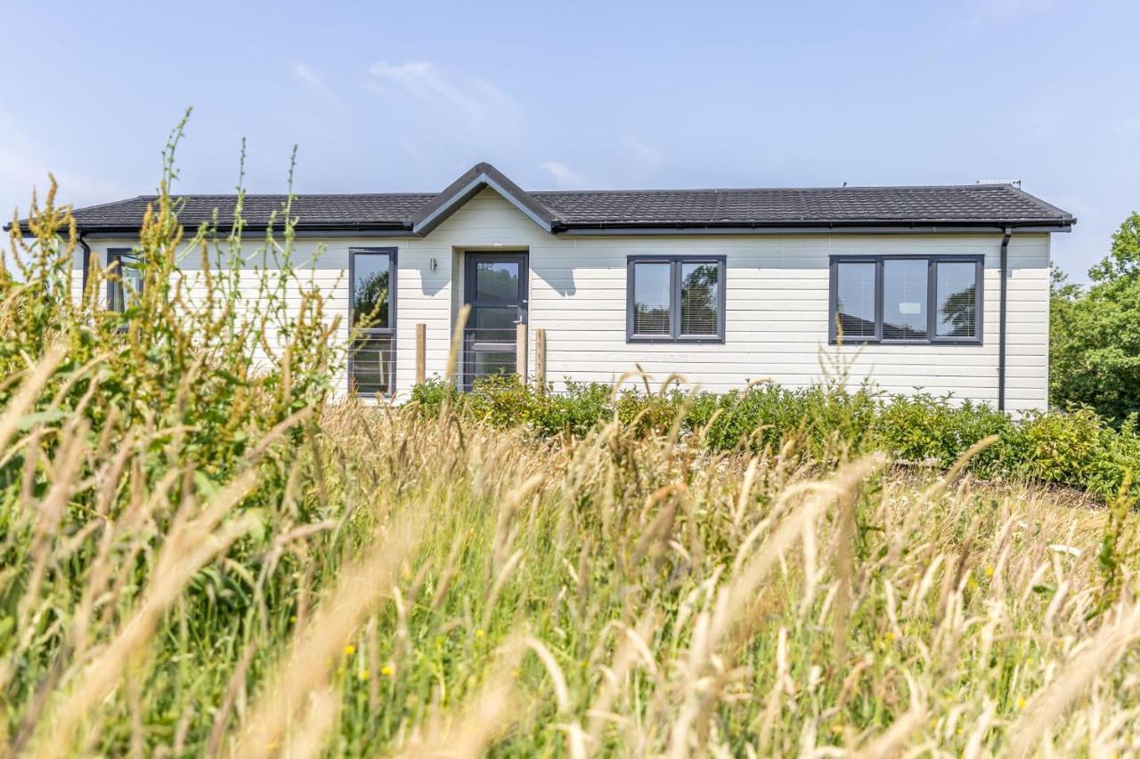 Rose Lodge, 21 Roadford Lake Lodges Lifton Buitenkant foto